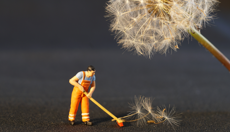 A figurine of a man with a broom cleaning dead dandelions flowers